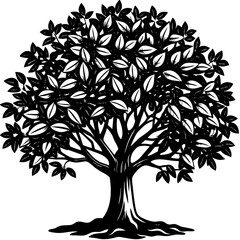 Obraz premium tree with leaves