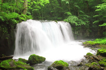 奥入瀬渓流（銚子大滝）