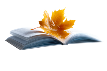 Open book with an orange leaf placed on the pages
