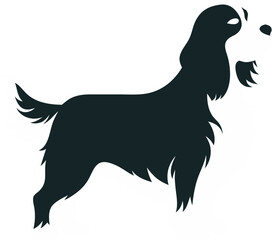 Cavalier King Charles Spaniel silhouette vector icon 