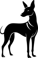 Xoloitzcuintli (Mexican Hairless Dog) silhouette vector icon 
