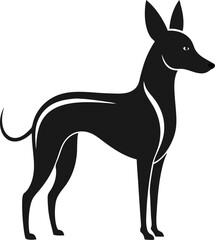 Xoloitzcuintli (Mexican Hairless Dog) silhouette vector icon 