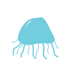 jellyfish on white background