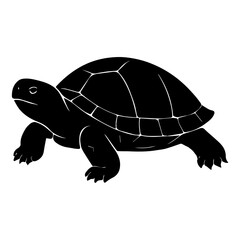 Turtle illustration black and white tortoise drawing reptile shell animal wildlife nature art vector graphic