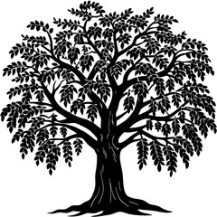 Obraz premium tree with roots