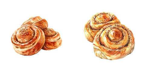 cardamom buns watercolor vector illustration