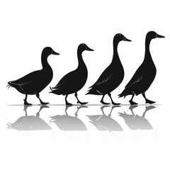 Duck vector