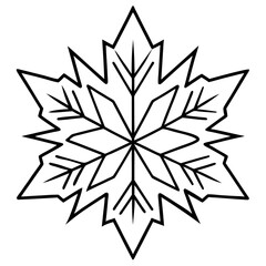Frost Pattern icon vector