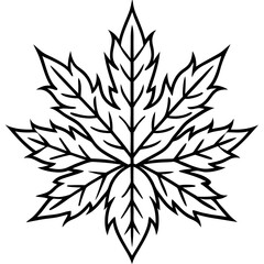 Frost Pattern icon vector