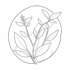 A line drawing shows a plant with leaves inside a circle