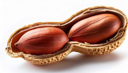 close up of a peanut in its shell