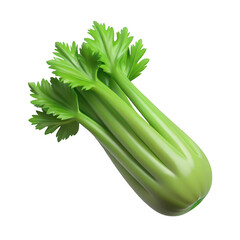 Fresh celery stalk isolated on transparent background