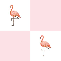 Graceful Crane Birds