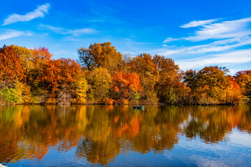 Central Park Lake in autumn with people rowing boat. Central Park on sunny autumn day change colors. Autumn landscape. Fall nature. Rowboat on a small lake at the Central Park. Boating