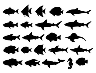 Collection of fish silhouettes vector illustration ocean sea life marine animals underwater creature design 100