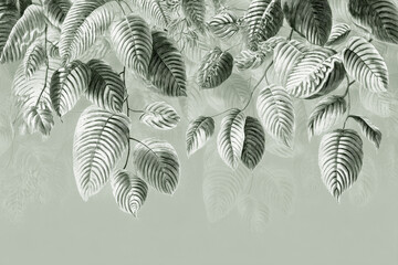 Boho wallpaper, vintage botanical illustration of tropical leaves