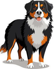 Bernese Mountain Dog