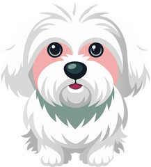 Maltese dog vector 