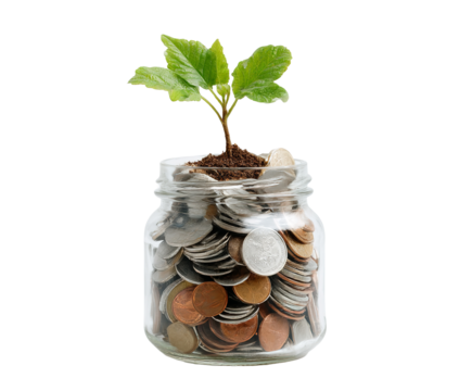 Seedling sprouts from a jar of coins Investing in the future with growth on transparent background