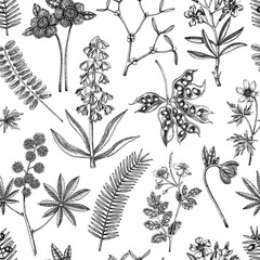 Poisonous plants background. Witch herbs seamless pattern. Apothecary design in sketch style. Hand drawn vector illustration. 