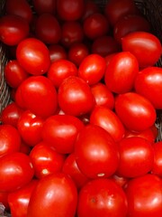 Red tomatoes on a vine