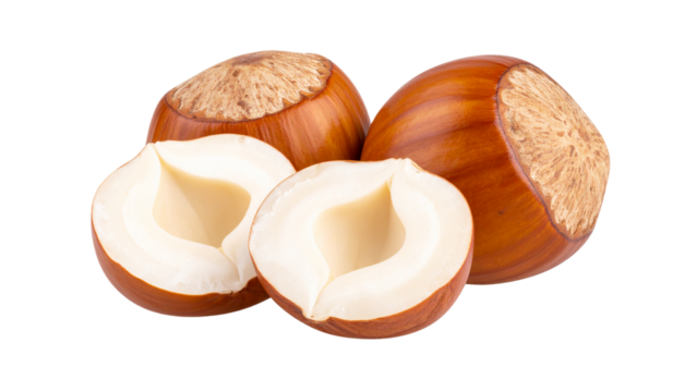 Hazelnut isolated on white background, clipping path, full depth of field