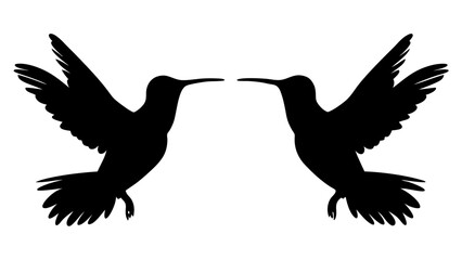 Obraz premium humming bird silhouette vector illustration on tranparent background