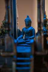 A serene and tranquil Buddha statue, representing peace and mindfulness, is beautifully surrounded...