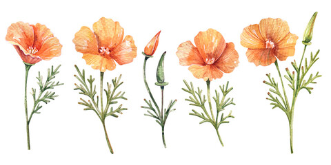Cute Cartoon Blonde Curly-Haired Flower Princess Dancing in California Poppy Dress
