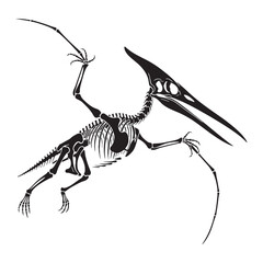 Prehistoric wings redefined – Pteranodon skeleton silhouette with stylized Pteranodon skeleton vector – dinosaur skeleton silhouette   © Vectorhub