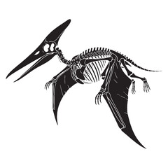 A flight through deep time – Pteranodon skeleton silhouette captured in Pteranodon skeleton vector – dinosaur skeleton silhouette   © Vectorhub