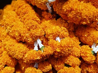 A vibrant display of orange marigold garlands with white jasmine accents, commonly used in Thai religious rituals, festivals, temple offerings, or spiritual decoration themes.