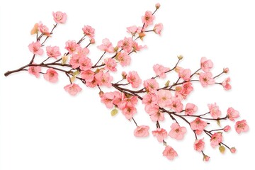 Fototapeta premium Delicate pink cherry blossoms on branches (1)