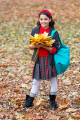Knowledge day. School education. Autumn girl in uniform hold fall leaves outdoor. Stylish teen girl at school break. Back to school. Autumn fall leaves. Knowledge and education. Fall style