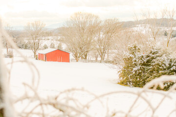 Winter snowy scene with a red shed in the distance, snow covered field, pasture, rolling hills in the Shenandoah Valley. Foggy winter Day. 