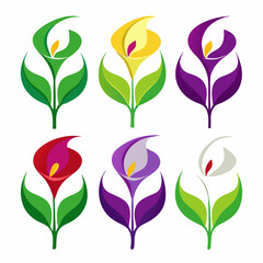Calla lily flower icon on white background with elegant botanical design