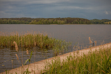A beautiful lake in a forested area with aquatic plants, canes, reeds and trees on the shore under cloudy stormy sky