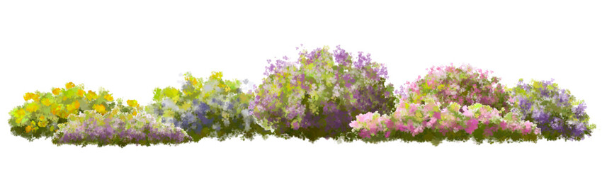 Vector of tree or blooming  side view isolated on white background ,watercolor tree elevation for landscape concept,environment scene,eco design,blossom garden for spring