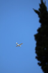 airplane in the sky