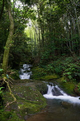 段階を踏む鹿児島の玉繁寺の滝。段階を穏やかに踏むのは珍しく感じました。