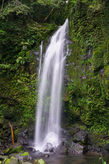 いいサイズかんで豪快な鹿児島にある滝之下大滝公園