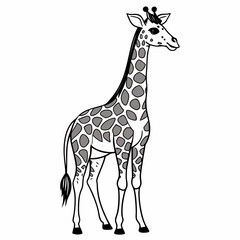 Obraz premium giraffe vector illustration