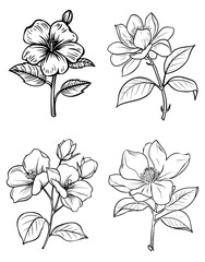 Black and white drawing of four different flower species with leaves and stems