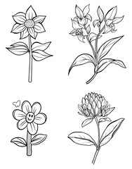 Black and white line drawing of four flower species