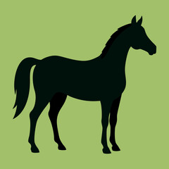 horse vector illustration