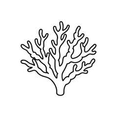 Fototapeta premium coral line art