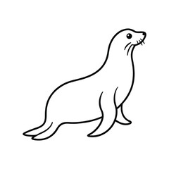Obraz premium sea lion line art