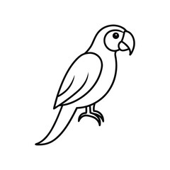 Obraz premium macaw line art
