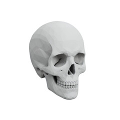 Obraz premium Low Poly Skull 3D Rendering on Transparent Background, Halloween and Anatomy Concept, isolated object, editable and scalable vector for your design