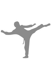 taekwondo sport 